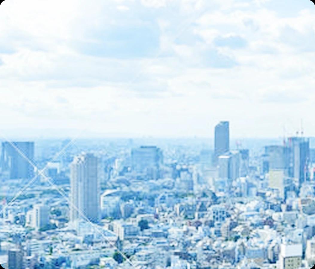 Tokyo Skyline